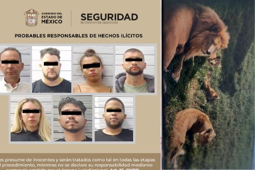 Caen siete secuestradores en Ixtapan de la Sal; tenían cuatro leones